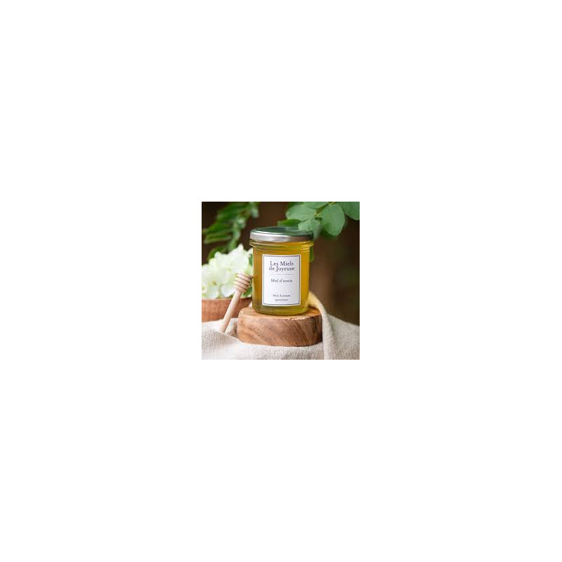 Miel artisanal 250g